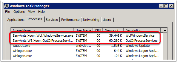 Xoom processes, as they appear in Windows Task Manager